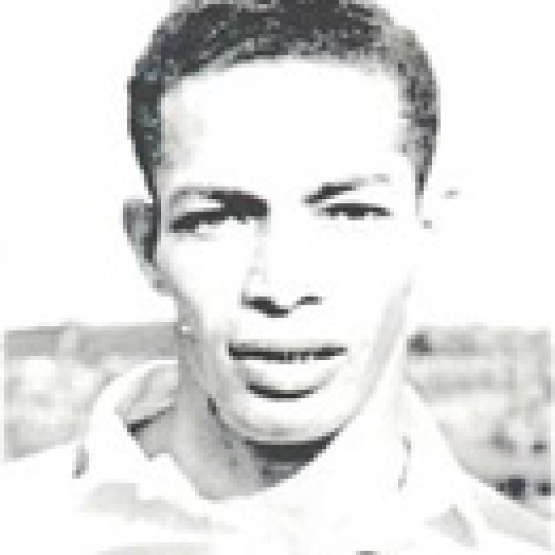 THE FLIGHT OF THE HERON