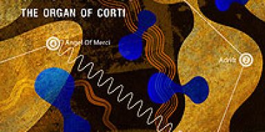 THE ORGAN OF CORTI - New Dave Formula and Christine Hanson Album features Michael Marra