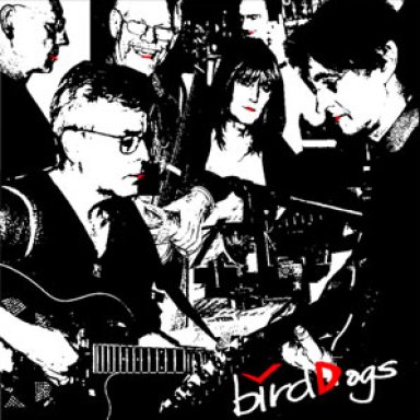 Birddogs - MP3 Album